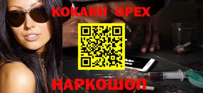 шишки Гай