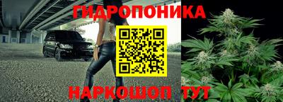 сатива Гатчина