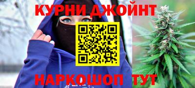 шишки Гай