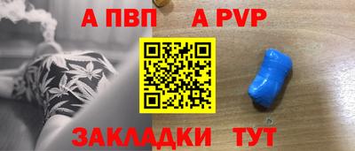 шишки Гай